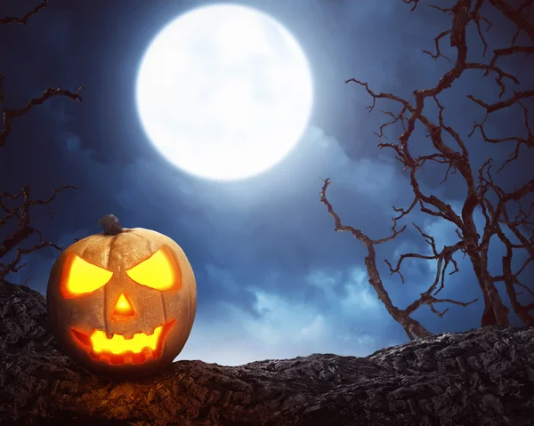 Jack O'Lantern onder volle maan — Stockfoto