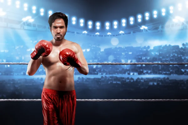Profesyonel boksörler mücadele için hazır — Stok fotoğraf