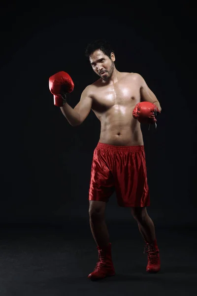 Ázsiai pasas boxer portréja ünnepli a nyerő — Stock Fotó