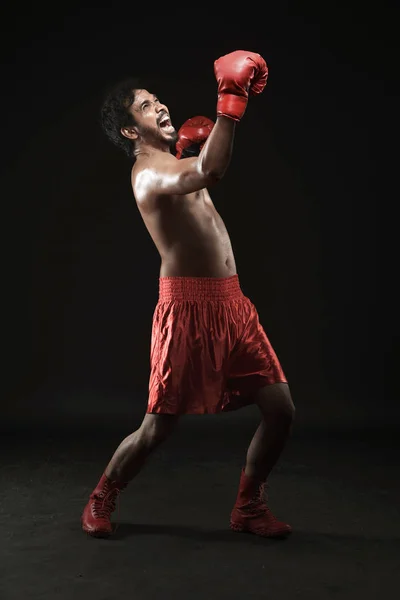 Портрет азіатського боксера святкує свою перемогу — стокове фото