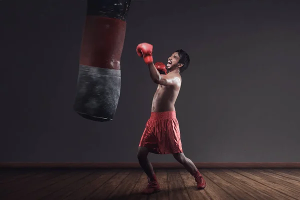 Boxeador masculino asiático practicando con un saco de boxeo — Foto de Stock