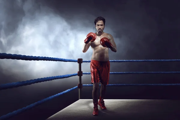 Proffsboxare asiatisk kille med handskar var tränar — Stockfoto