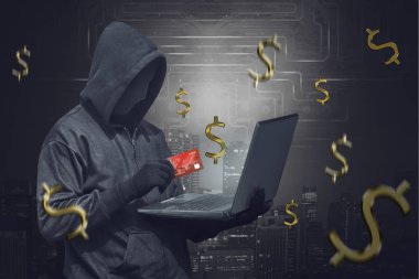 Dizüstü bilgisayar ve kart tutan maskeli hacker 