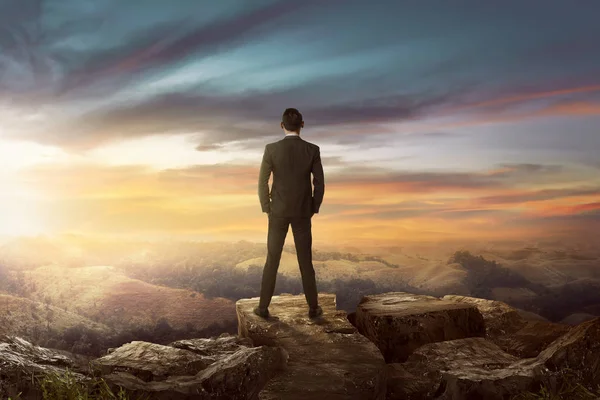 Businessman standing looking at sunset — Stock Photo, Image