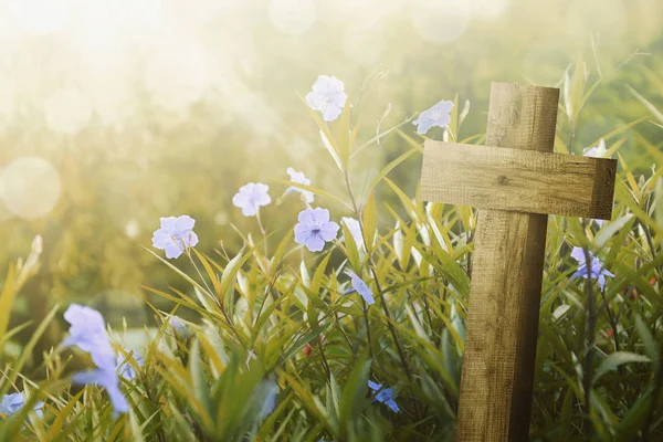 Drewniany krzyż i fioletowy kwiat światło słoneczne — Zdjęcie stockowe