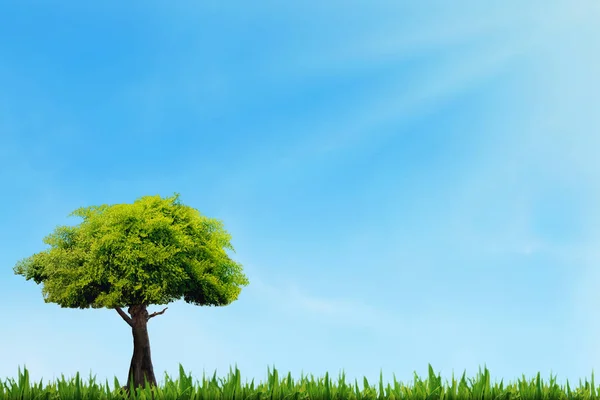 Ağaç üzerinde mavi gökyüzü ile bahar çayır — Stok fotoğraf