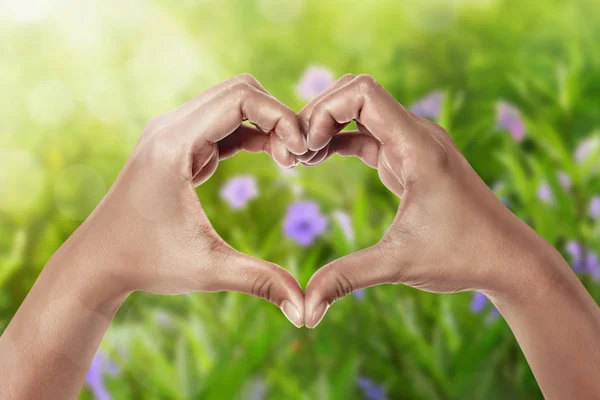 Hands in shape of love heart on green field — Stock Photo, Image