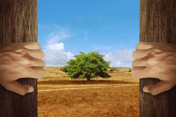 Två händer öppna trädörr — Stockfoto