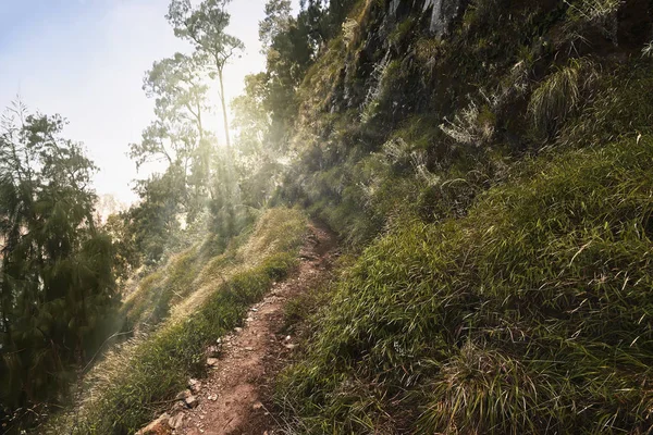 Mendaki jalur untuk mendaki ke puncak Gunung Rinjani — Stok Foto