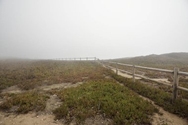 yeşil çim ve ahşap çit 