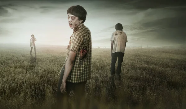 Group of asian scary zombies standing on dry grass field — Stock Photo, Image