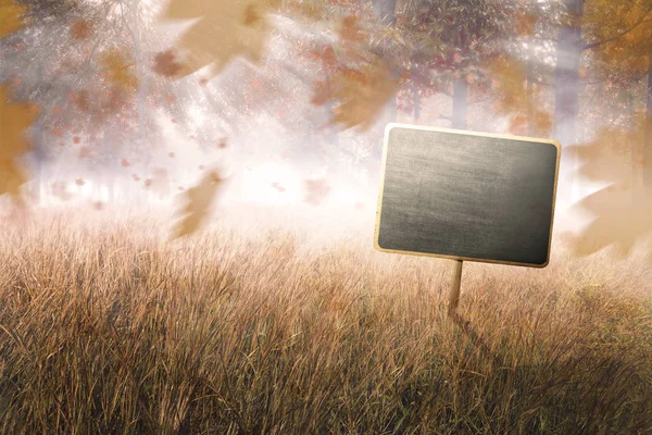 Chalkboard in the middle of grass — Stock Photo, Image