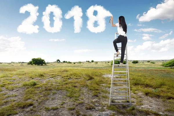 Businesswoman using stairs and spraying white cloud with 2018 sh