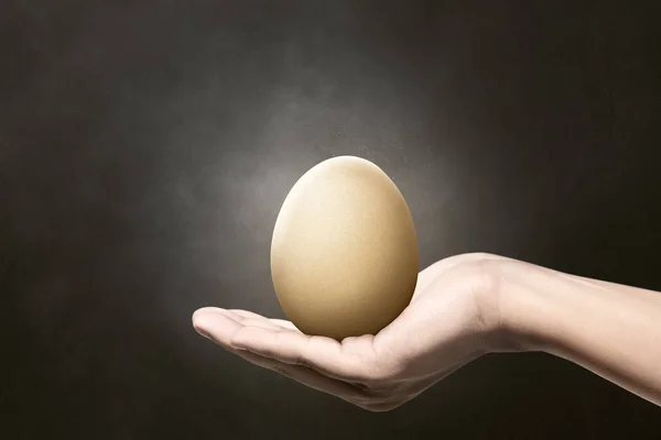 İnsanların elini tutun düz yumurta — Stok fotoğraf