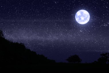 Karanlık gece ile birçok yıldız ve çim alanının üstündeki parlak ay ışığı