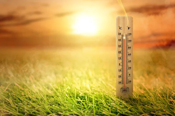 Thermometer with high temperature on the meadow with glowing sun — Stock Photo, Image