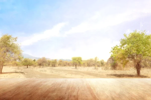 Mesa de madera con vistas a la sabana — Foto de Stock