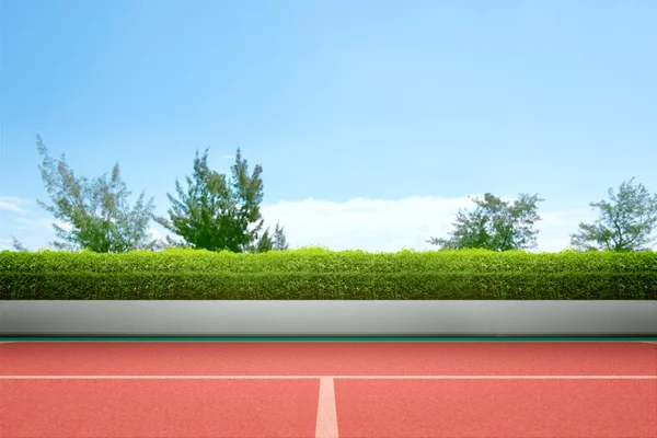 Vista di un campo da tennis con erba verde — Foto Stock