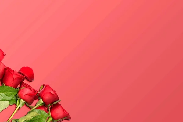 Красные розы на красном фоне — стоковое фото
