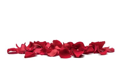 kırmızı gül yaprakları 