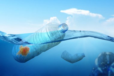 Goldfish trapped on the plastic bottle on the ocean 
