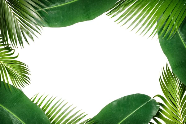 Der Rahmen aus grünen tropischen Blättern auf dem Fußboden — Stockfoto