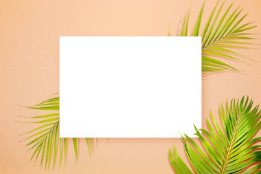 Green palm leaves on a colored background 