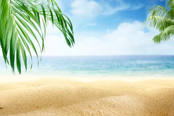 Playa de arena con hoja de palma verde y vista al mar azul — Foto de Stock
