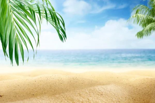 Sandy beach with green palm leaf and blue ocean view 