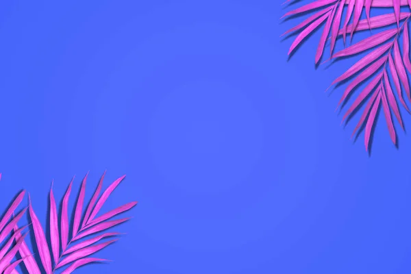 Palm leaves in vibrant color — ストック写真