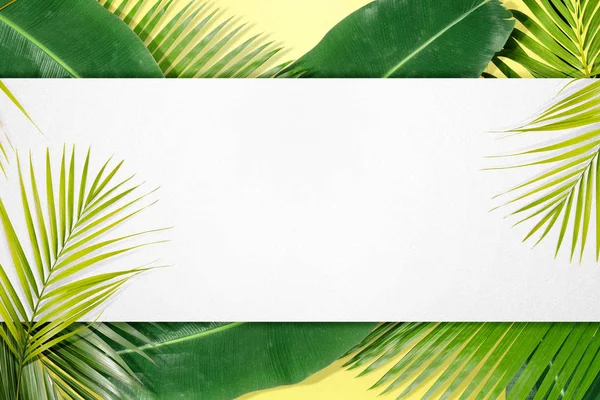 Зеленые тропические листья на желтом фоне — стоковое фото