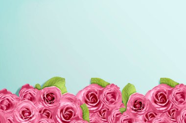 Roses in vibrant color 