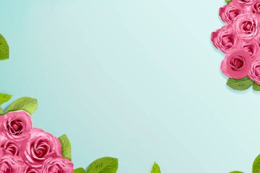 Roses in vibrant color 