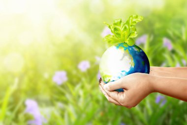 Çayırda büyüyen bitkilerle dünyayı tutan insan elleri. Dünya Günü konsepti
