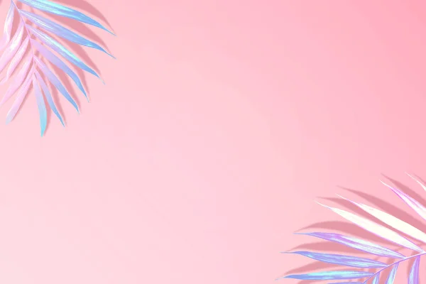 Palm Leaves Vibrant Color Pink Background — 图库照片