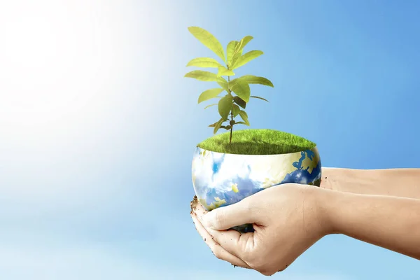 Mãos Humanas Segurando Terra Com Plantas Crescentes Acima Dela Com — Fotografia de Stock