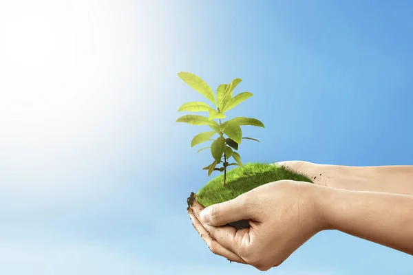 Human Hands Holding Soil Growing Plants Blue Sky Background Earth — Stock Photo, Image