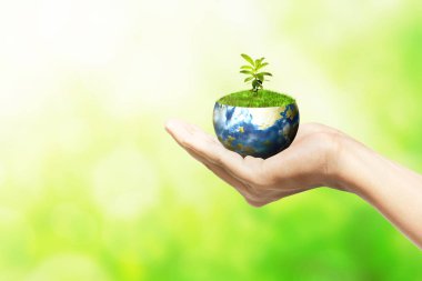 Yeşil bir arka plan üzerinde büyüyen bitkilerle dünyayı tutan insan elleri. Dünya Günü konsepti