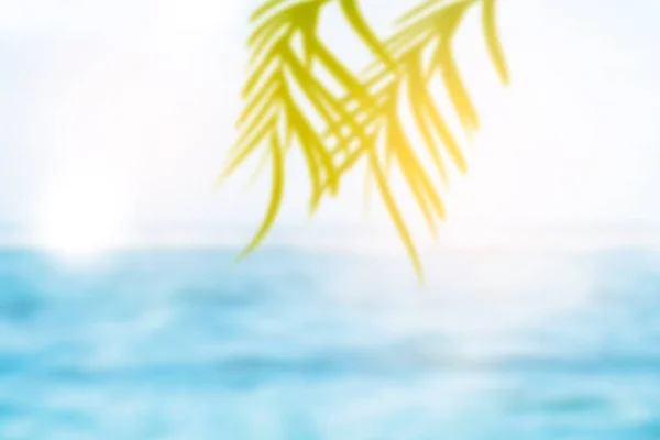 Oceanview Green Palm Leaf Blue Sky Background — Stok fotoğraf
