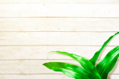 Ahşap masa arkaplanlı tropik yapraklar