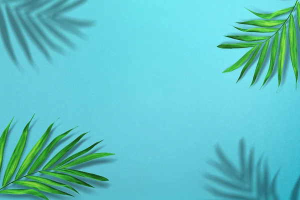 Parlak Mavi Arkaplanı Olan Palmiye Yaprakları — Stok fotoğraf