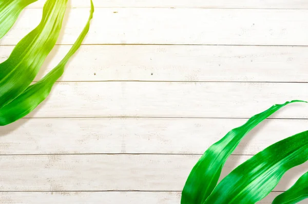 Hojas Tropicales Con Fondo Mesa Madera —  Fotos de Stock