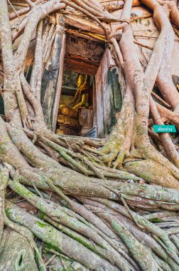 Bang Khonthi Bölgesi, Samut Songkhram / Tayland / 23 Şubat 2020: Wat Bang Kung. Ayutthaya döneminde inşa edildi. Burası tarihi yerlerden biri ve savaşın anılarından biridir..
