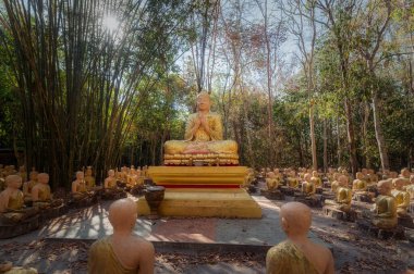 Plaeng Yao Bölgesi, Chachoengsao / Tayland / 16 Şubat 2020: Wat Krok Kaeo Wong Phra Chan. Öğrenmek için uygun bir Budist mimarisi var..