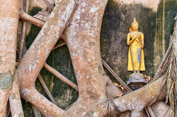 Bezirk Bang Khonthi Samut Songkhram Thailand Februar 2020 Wat Bang — Stockfoto