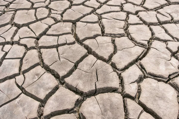 Cansız çatlak toprak