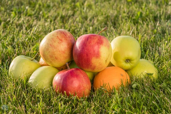 Olgun elma ve portakal çimenlerin üzerinde