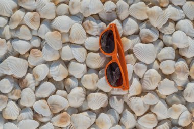 Deniz kabuklarını gözlüklü farklı boyutlarda sürü