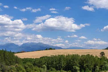 Güneşli Pastoral kırsal manzara