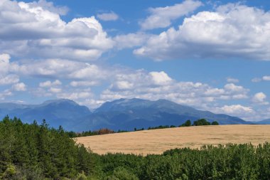 Güneşli Pastoral kırsal manzara
